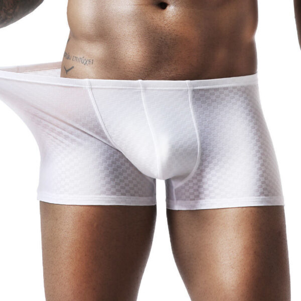 Underwear Ice Silk Mesh Slippery Comfortable Summer Breathable Sports - Image 5